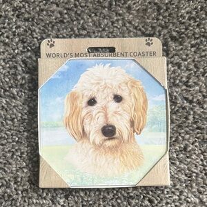 World’s Most Absorbent Coaster- Goldendoodle